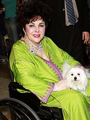 Liz Taylor Refutes Alzheimer's Reports