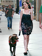 Anne Hathaway Credits Her Dog for Landing Jane Role