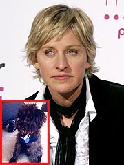 Ellen DeGeneres Cancels Friday's Taping