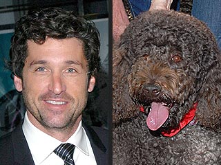 Costar Puts Patrick Dempsey in the Doghouse