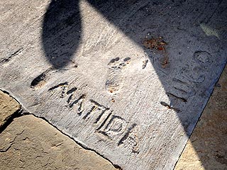 Heath and Matilda Leave Footprints in Brooklyn