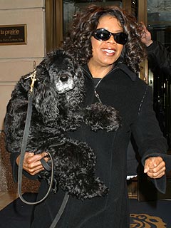 TV News Roundup: Oprah Remembers Her Beloved Cocker Spaniel