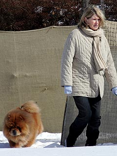 Martha Stewart's Dog Killed in Explosion