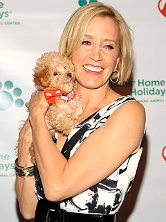 Felicity Huffman Gets Ruff Road Rage Lesson
