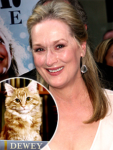 Meryl Streep to Star in "Dewey" Movie