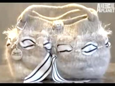 Nice Handbag! Oh, Yes It's Made From Cat Fur