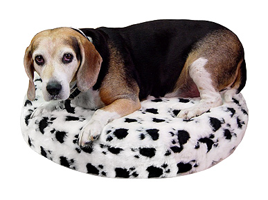 Give Your Dog A Mattress As Nice As Yours