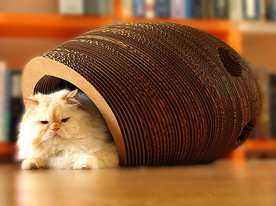 The Cat Cacoon: A Toy For Them, Art For You