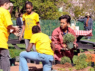 Michelle Obama Gets Knees Dirty in White House Garden