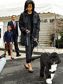Sasha and Malia: Slacking Off on Puppy Duty?