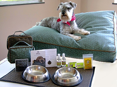 A Dog's Life: Hilton's Pet-Friendly Program Caters to Pooches