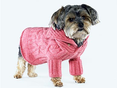 Check It Out: Chic Winter Wear for Hot Dogs