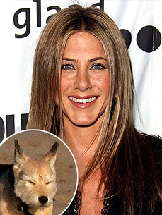 Jennifer Aniston's Pooch Gets Loose!