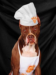 Caption Contest: What's Chef Axel Saying?