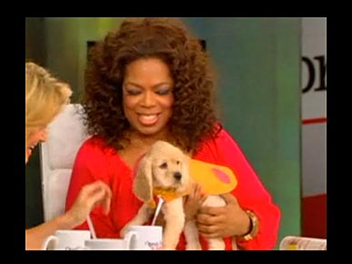 VIDEO: Oprah Introduces Her 'New Baby,' Sadie