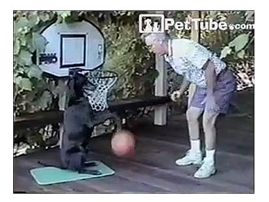 Wednesday's Funny Pet Video: Zeke the Dog Can Dribble!