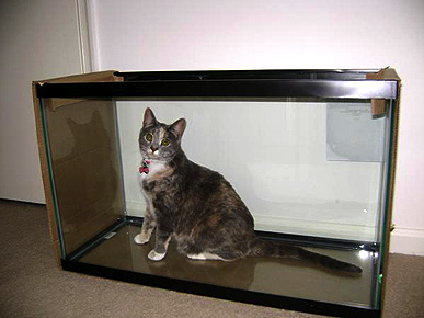 Caption Contest: Something Fishy Is Going On Here!