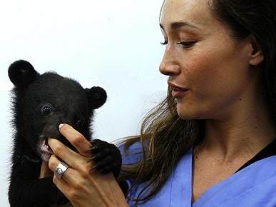 Actress Maggie Q's Beary Good Cause