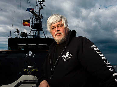 Ahoy! Capt. Watson and His Crew Set Sail for a New Season of Whale Wars