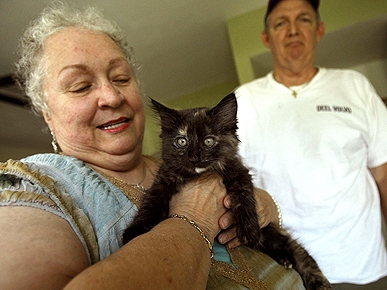 New Kitten Helps Florida Couple Cope After 'Cat Butcher'