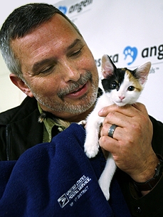 Kitten Abandoned in Mailbox Is Delivered to New Home