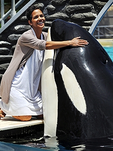 Spotted: Halle Berry Gives Shamu a Whale of a Hug at SeaWorld