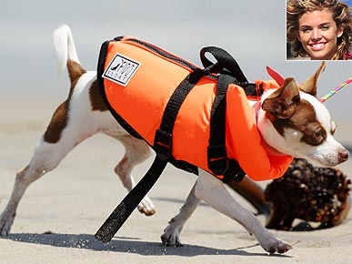 Get the Look: AnnaLynne McCord's Pet Life Vest