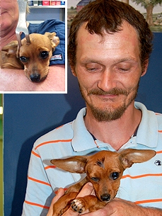 Smokey the 'Miracle' Dog Back Home After Fork Is Removed From His Brain