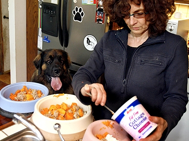 The Water Bowl: Ted Kennedy Remembered As Dog Lover; Plus: Polar Bears Losing Pounds