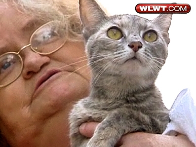 Amazing Discovery! Smoka the Cat Survives 26 Days Buried Under Rubble