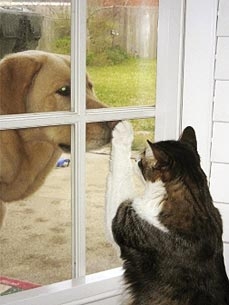 Congrats, Kay!  You Win This Week's Caption Contest