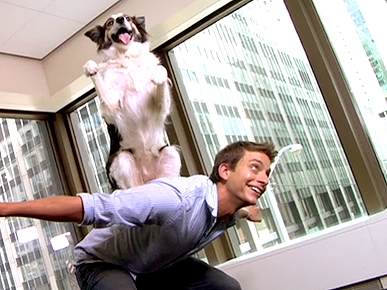 Sneak Peek: SuperFetch's Zak George Teaches Old Dogs (and Cats!) New Tricks