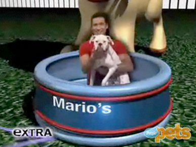 Sneak Peek: Mario Shows Us Picture-Perfect Pooches!