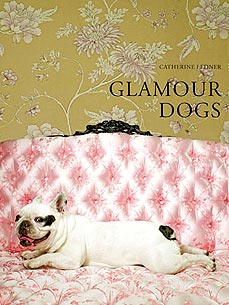 America's Next Top Dog Model! Glamour Dogs Book Showcases Fierce Pups