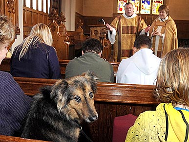 Pious Pooch Attends Church Twice a Week