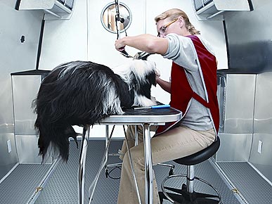 The Pet-Friendly Trailer Has Finally Arrived!
