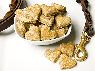 A 'Sweet' Treat: Homemade Organic Snacks for Your Dog