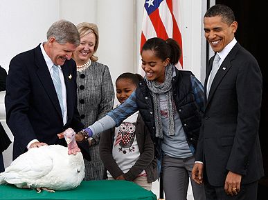 Obama Girls Spare Life of White House Thanksgiving Turkey