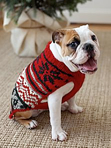 Standout Holiday Style: Land's End Family Dog Sweater