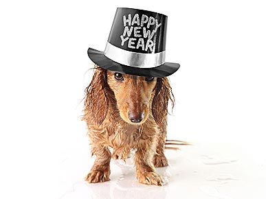 LAST CHANCE: Tell Us Your Pet's New Year's Resolution and Help Your Favorite Shelter!