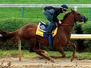 Jenny Craig's Horse Racing in the Kentucky Derby