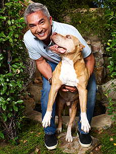 Have a Question for Cesar Millan? Tell Us!