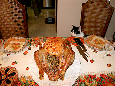 Keep an Eye on the Turkey – Before It's in Your Pet's Tummy