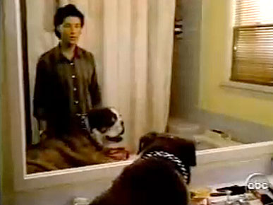 Thursday's Funny Video: The '90s Cop Show You Never Saw, Poochinski!