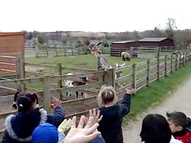 Tuesday's Funny Video: Superstar Goat Waves Hello!