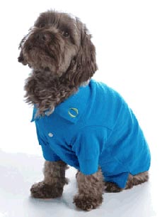 The Water Bowl: Auschwitz Cat to Stay Outdoors; Plus, Dickens's $6,000 Dog Collar Up for Auction