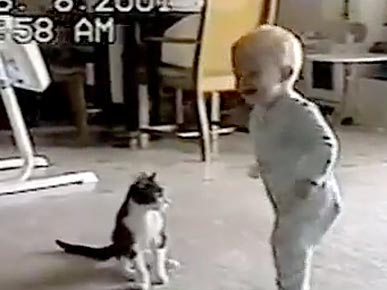 Wednesday's Funny Video: Kitty-Baby Tickle Fight!