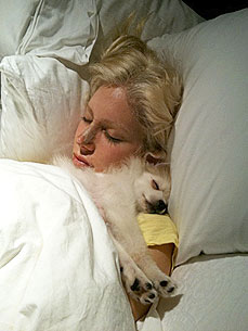 EXCLUSIVE: Heidi and Spencer Pratt Welcome Fourth Dog