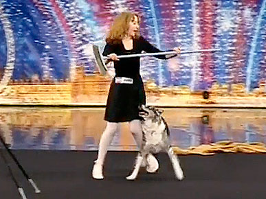 Tuesday's Funny Video: Chandi the Amazing Dancing Dog
