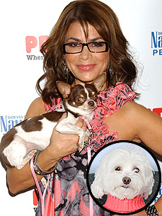 Ask Ethel: Paula Abdul's Chihuahua Has a Snoring Problem!